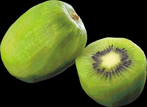 تصویر 1 از قیمت خرید کیوی سبز رنگ + فروش ویژه